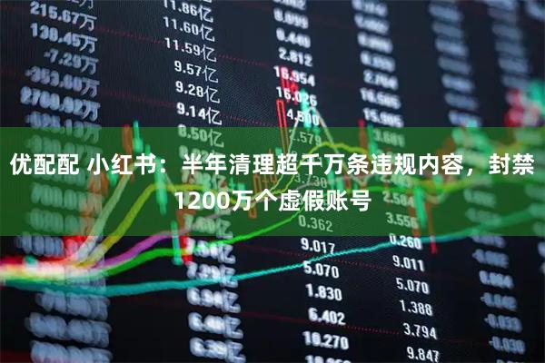 优配配 小红书:半年清理超千万条违规内容,封禁1200万个虚假账号